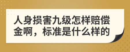 人身损害九级怎样赔偿金啊，标准是什么样的