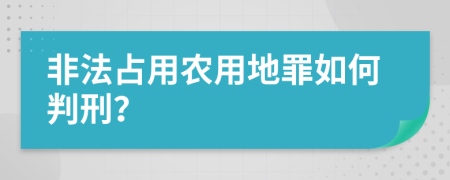 非法占用农用地罪如何判刑？