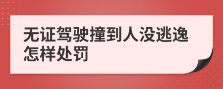 无证驾驶撞到人没逃逸怎样处罚