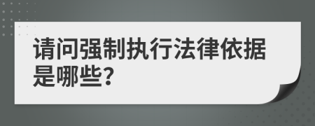 请问强制执行法律依据是哪些？