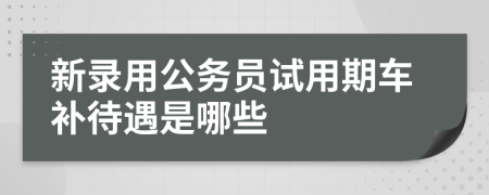 新录用公务员试用期车补待遇是哪些