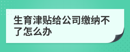 生育津贴给公司缴纳不了怎么办