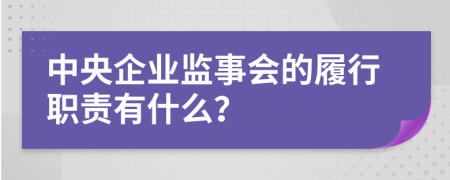 中央企业监事会的履行职责有什么？