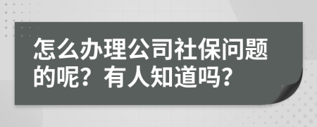 怎么办理公司社保问题的呢？有人知道吗？