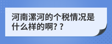 河南漯河的个税情况是什么样的啊? ?