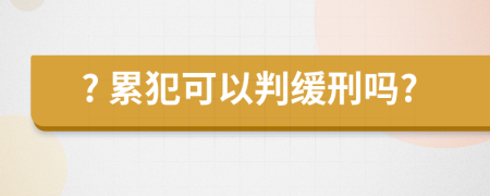 ? 累犯可以判缓刑吗?