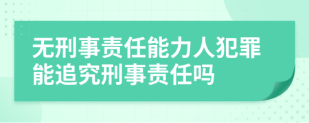 无刑事责任能力人犯罪能追究刑事责任吗