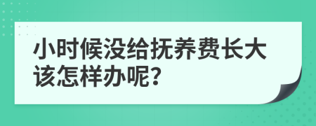 小时候没给抚养费长大该怎样办呢？