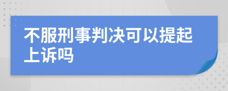 不服刑事判决可以提起上诉吗