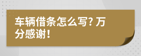 车辆借条怎么写? 万分感谢！