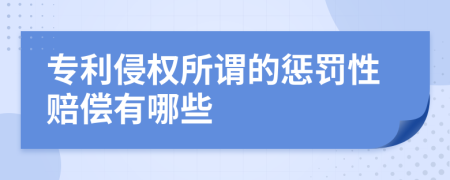 专利侵权所谓的惩罚性赔偿有哪些