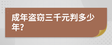 成年盗窃三千元判多少年？