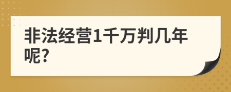 非法经营1千万判几年呢?