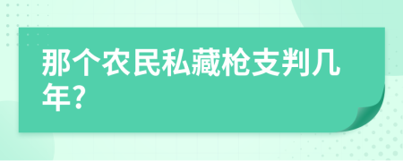 那个农民私藏枪支判几年?