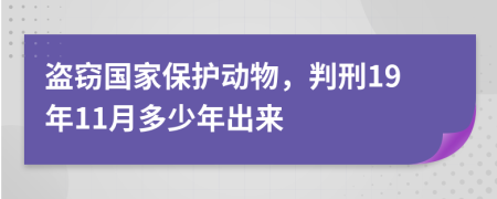 盗窃国家保护动物，判刑19年11月多少年出来