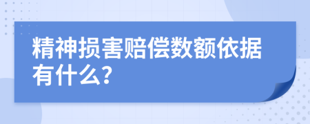 精神损害赔偿数额依据有什么？