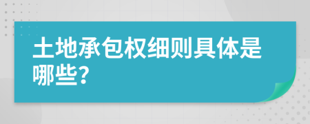 土地承包权细则具体是哪些？