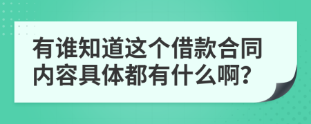 有谁知道这个借款合同内容具体都有什么啊？