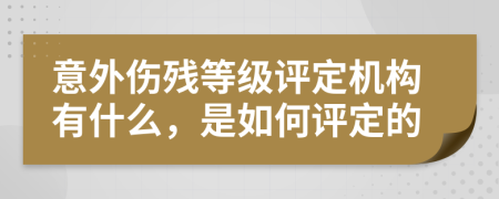 意外伤残等级评定机构有什么，是如何评定的