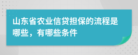 山东省农业信贷担保的流程是哪些，有哪些条件