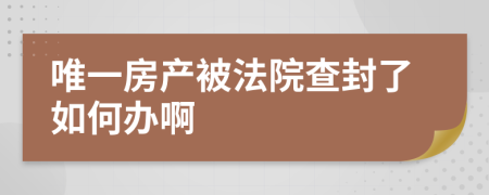 唯一房产被法院查封了如何办啊