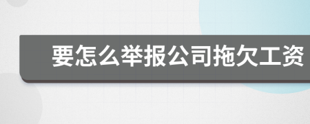 要怎么举报公司拖欠工资