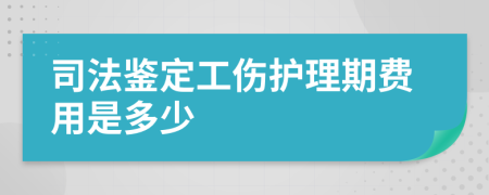 司法鉴定工伤护理期费用是多少