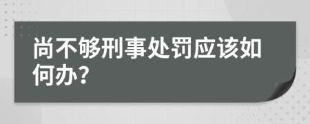 尚不够刑事处罚应该如何办？