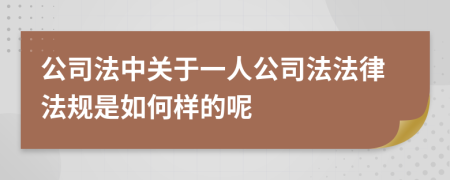 公司法中关于一人公司法法律法规是如何样的呢