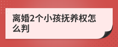 离婚2个小孩抚养权怎么判