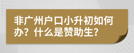 非广州户口小升初如何办？什么是赞助生？