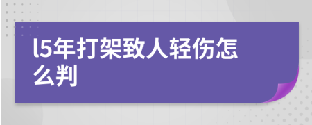 l5年打架致人轻伤怎么判