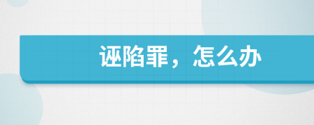 诬陷罪，怎么办