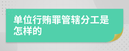 单位行贿罪管辖分工是怎样的