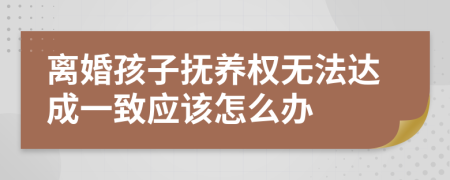 离婚孩子抚养权无法达成一致应该怎么办