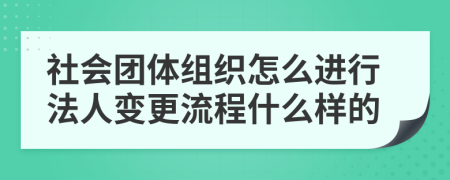 社会团体组织怎么进行法人变更流程什么样的