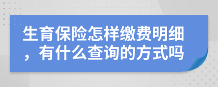 生育保险怎样缴费明细，有什么查询的方式吗