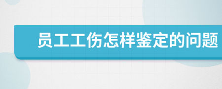 员工工伤怎样鉴定的问题