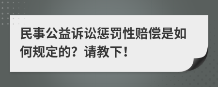 民事公益诉讼惩罚性赔偿是如何规定的？请教下！