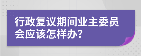 行政复议期间业主委员会应该怎样办？