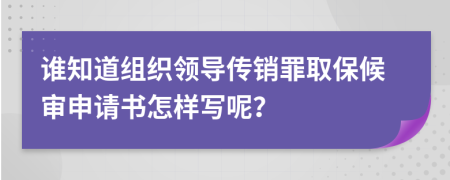 谁知道组织领导传销罪取保候审申请书怎样写呢？