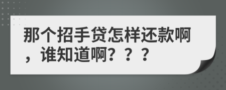 那个招手贷怎样还款啊，谁知道啊？？？
