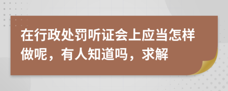 在行政处罚听证会上应当怎样做呢，有人知道吗，求解