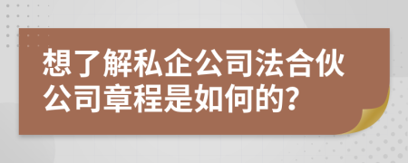 想了解私企公司法合伙公司章程是如何的？