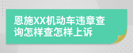 恩施XX机动车违章查询怎样查怎样上诉