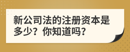 新公司法的注册资本是多少？你知道吗？