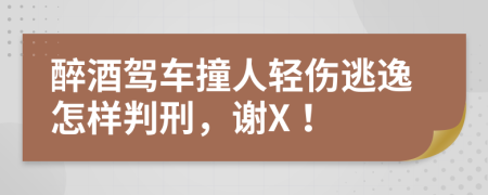 醉酒驾车撞人轻伤逃逸怎样判刑，谢X！