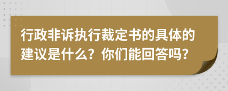 行政非诉执行裁定书的具体的建议是什么？你们能回答吗？