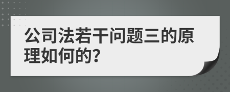 公司法若干问题三的原理如何的？