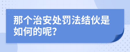 那个治安处罚法结伙是如何的呢？